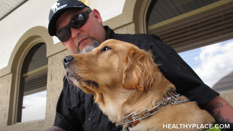 how to a ptsd service ptsd service dogs how they help and where to find them ptsd ptsd and stress how to a ptsd service ptsd service dogs how they help and where to find them ptsd ptsd and stress